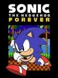 Sonic The Hedgehog Forever